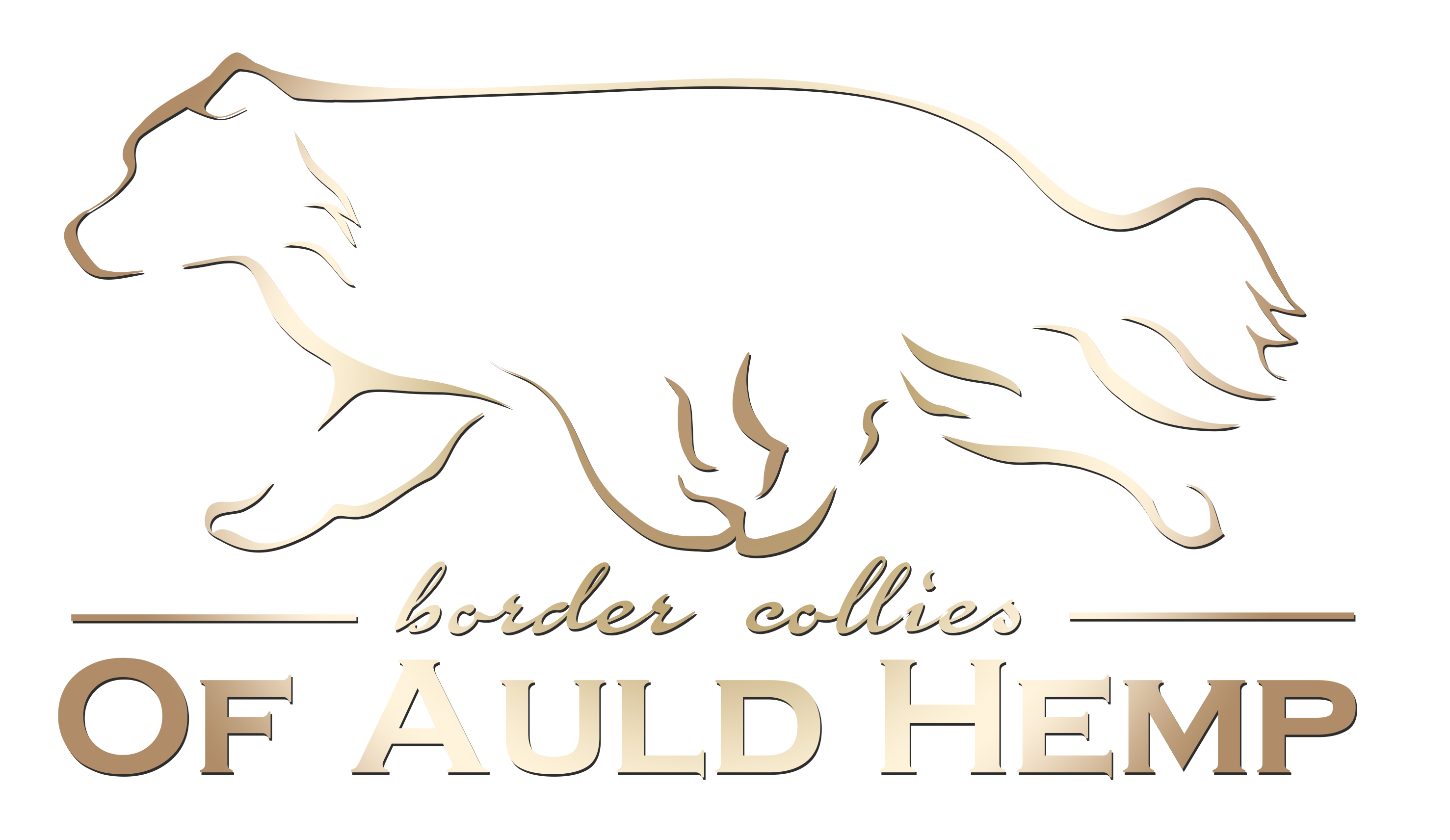 Logo Border Collies of Auld Hemp